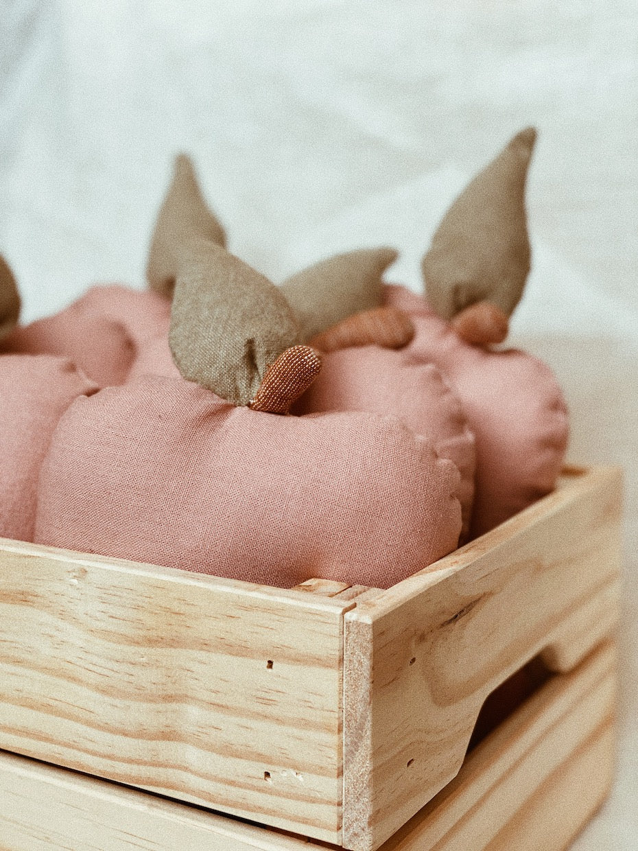 Apple Fruit Rattle – Ceres Studio