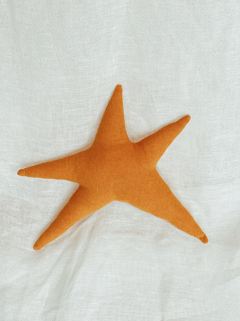 Funky Star Rattle